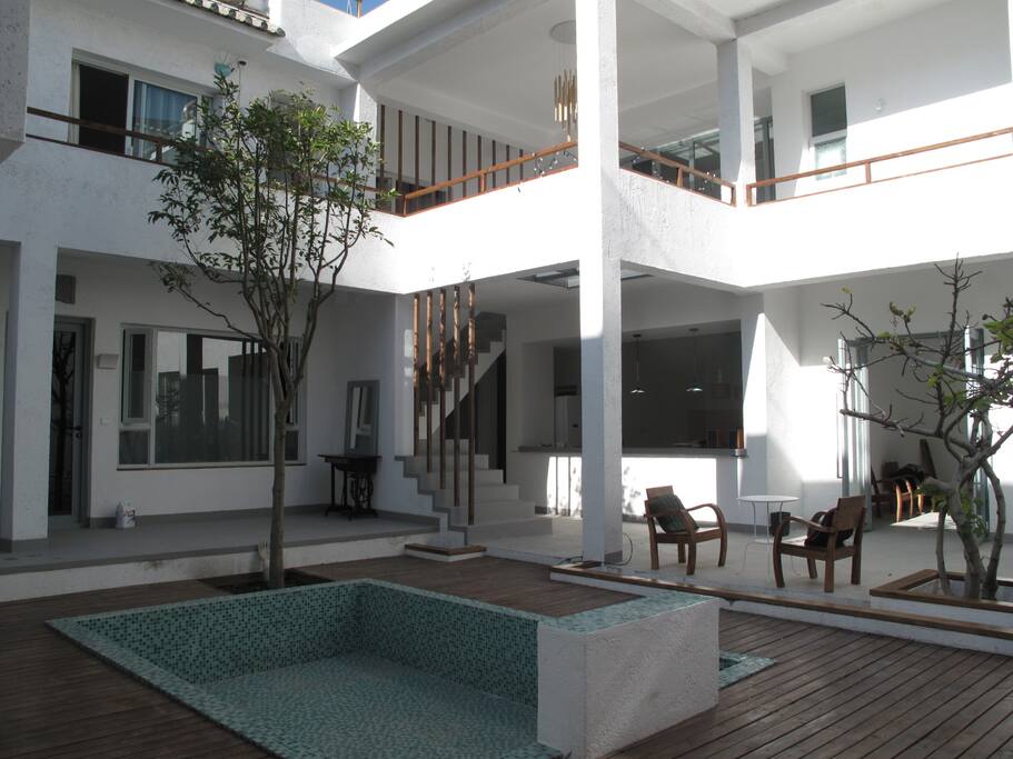 sunny backyard