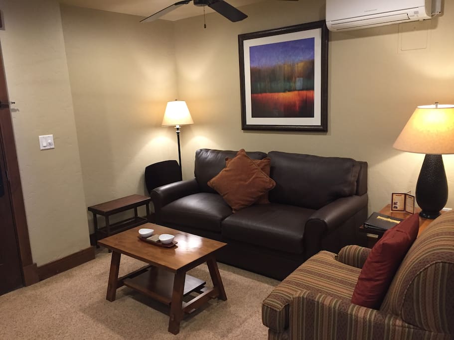 Living room with sofa bed