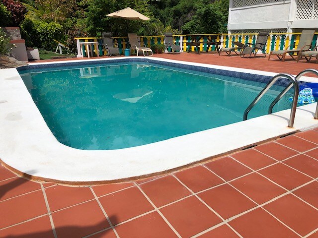 A shared pool is featured, surrounded by a deck with lounge chairs. The water appears clear and inviting, with a light-colored border defining the pool area. An umbrella provides shaded seating nearby, bordered by lush greenery and colorful railings.