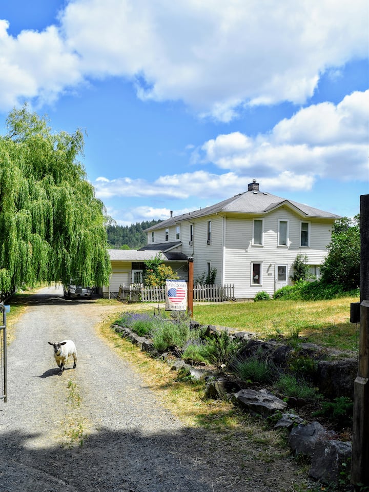 Top 12 Airbnb Vacation Rentals In Shelton, Washington Updated 2024