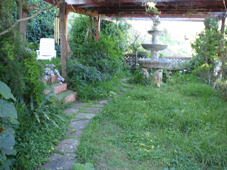 jardin inmediato a la cocina