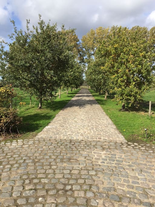 Private entry lane
