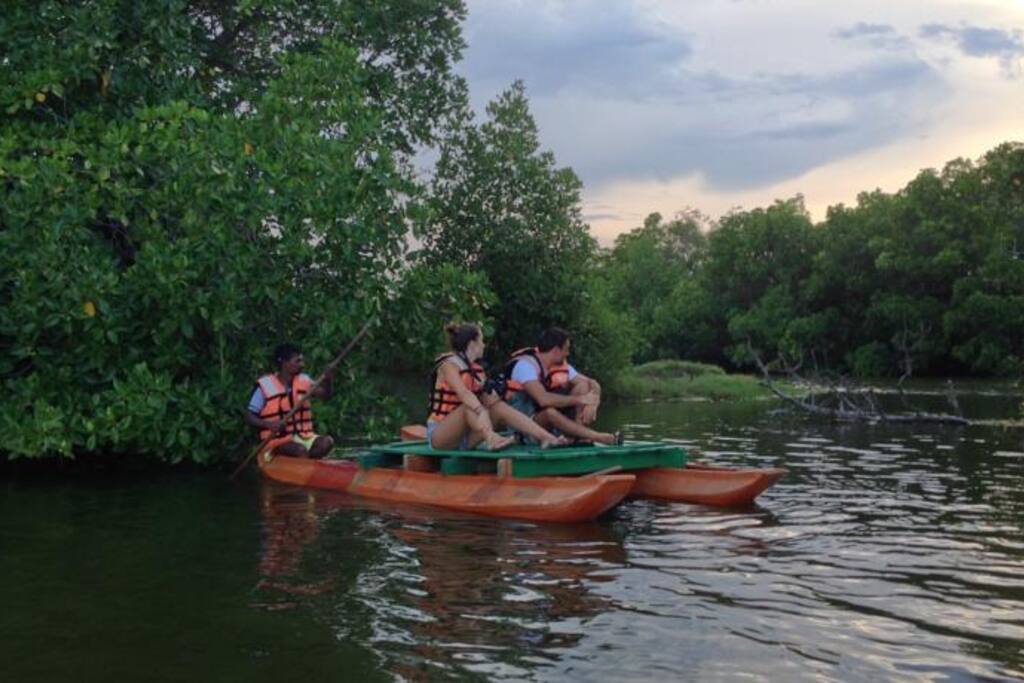 enjoying lagoon safari