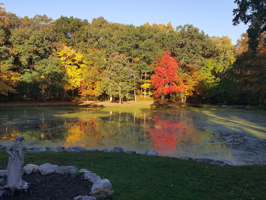 Wonderful color here