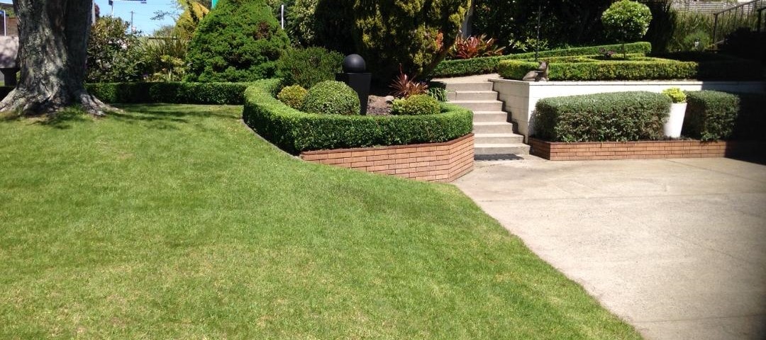 A well-maintained garden path leads to a set of steps surrounded by neatly trimmed hedges and manicured lawns. The vibrant greenery is complemented by neatly arranged shrubs and ornamental plants along the edges, creating an inviting outdoor space.