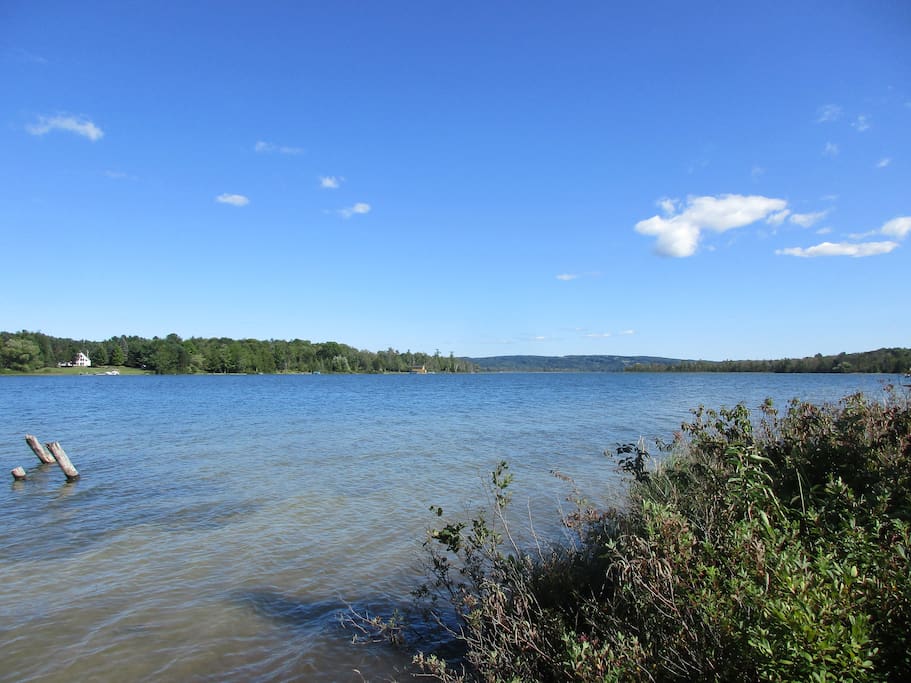 Lake Bellaire from Cottage
