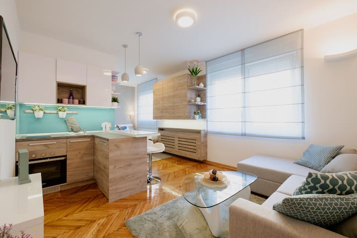 City center luxurious apartment