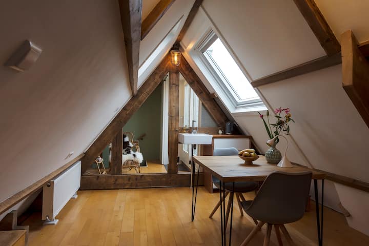 Private Attic Studio/Roofterrace