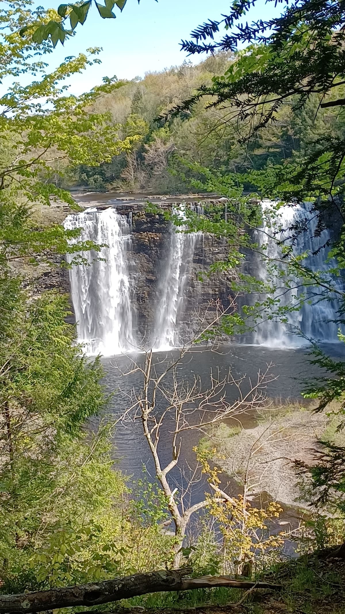 A tranquil waterfall cascades down a rocky cliff, surrounded by lush greenery. Sunlight filters through the leaves, reflecting off the water's surface. The scene is framed by trees on the left and right, creating a serene natural setting.