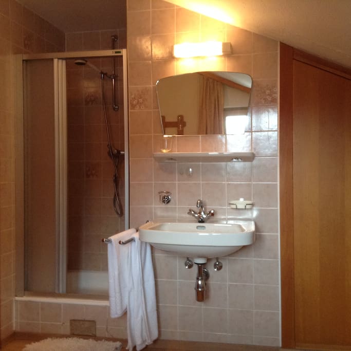 Shower and washbasin within room.