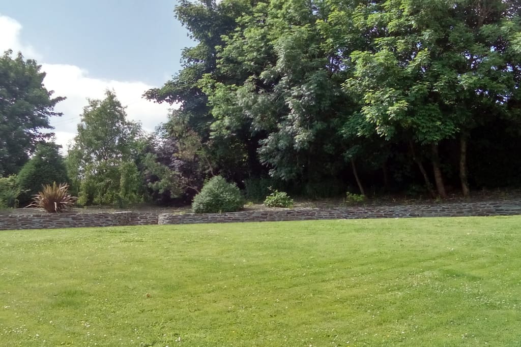 Some of our lawn