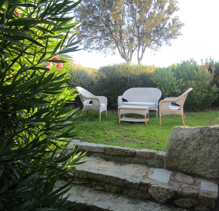 The front garden
