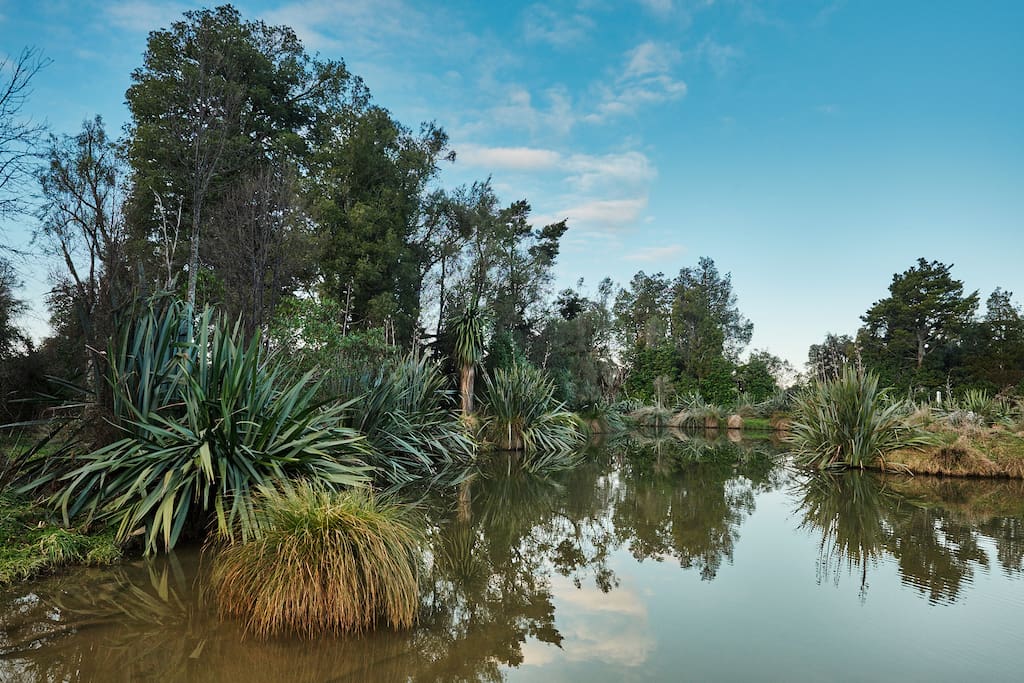 Wetland on the property