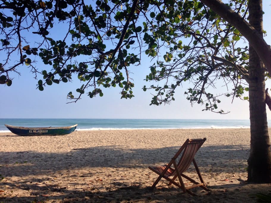 Grounds of our beach property