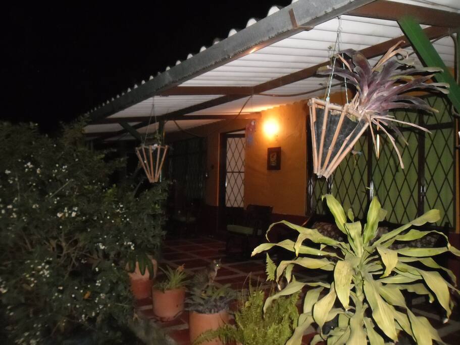 El jardín que rodea la casa