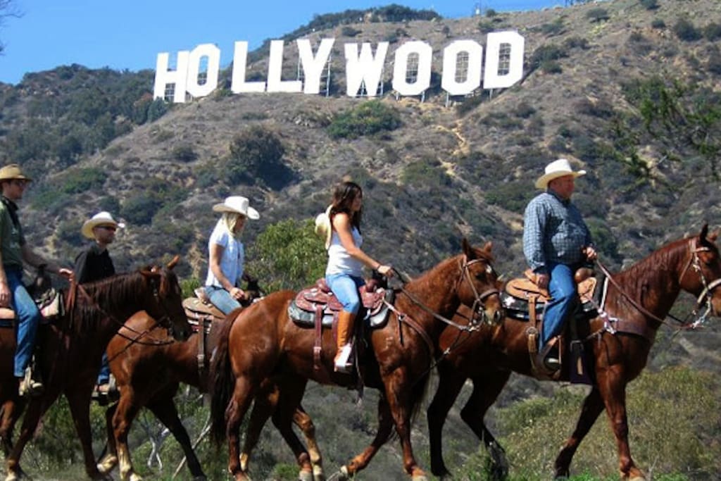 Lots of Nature in the city. Hike or Ride to see the famous Hollywood Sign.