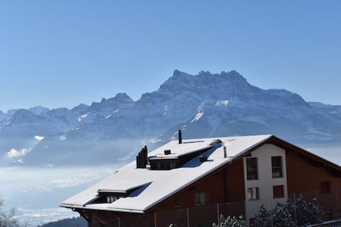 Domaine du Parc, Chalet B101