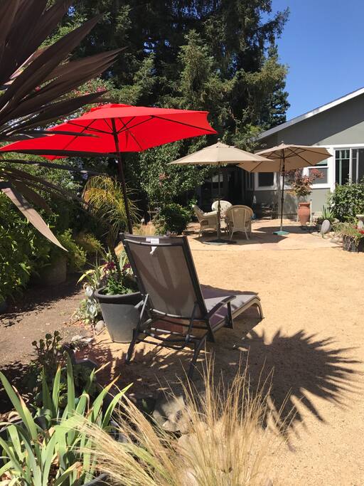 View of big garden with redwood tree surrounded by desert/ zen style landscape