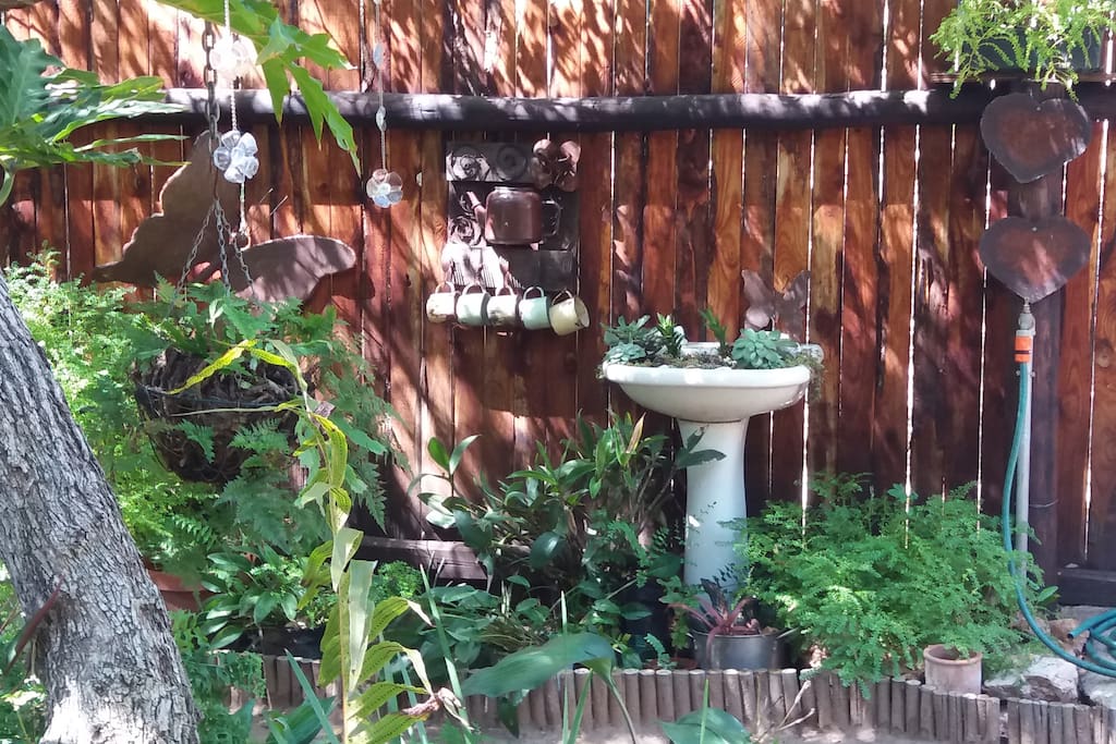 Garden at De Gastehuysje