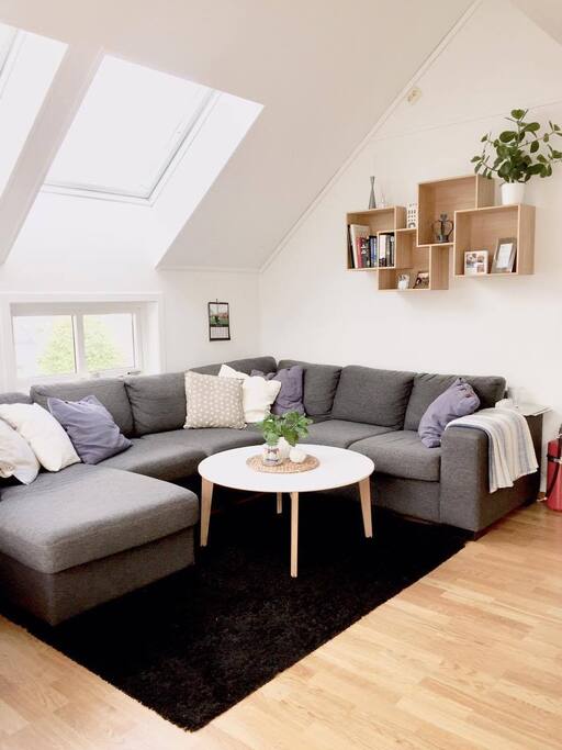 Tv couch and living room