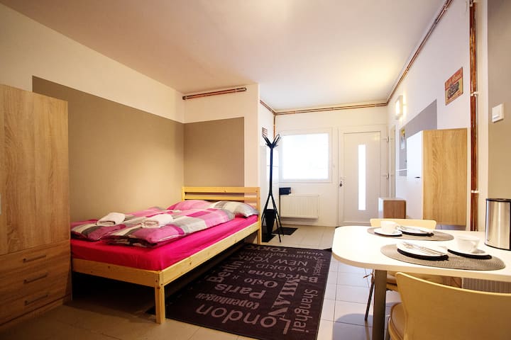Ljubljana Cozy Over Sleep Studio - Apartment - Liubliana