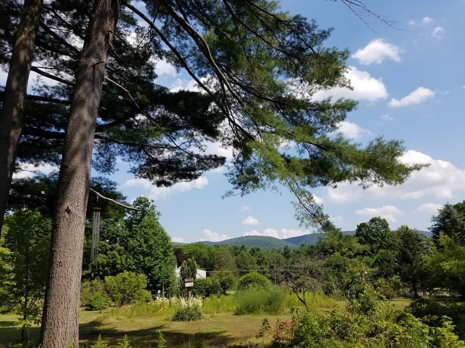 View of the house from the back yard