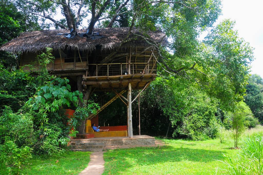 Tree house