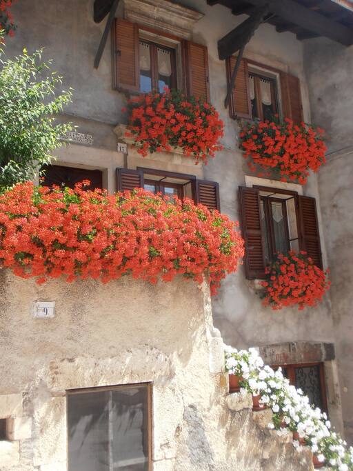 Pescocostanzo d'estate...in fiore