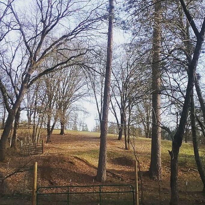 Beautiful hillside just out the back door. Winter