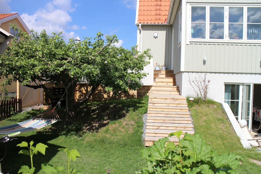 Trappa från trädgård till altan och hängmatta i skuggan under äppelträdet