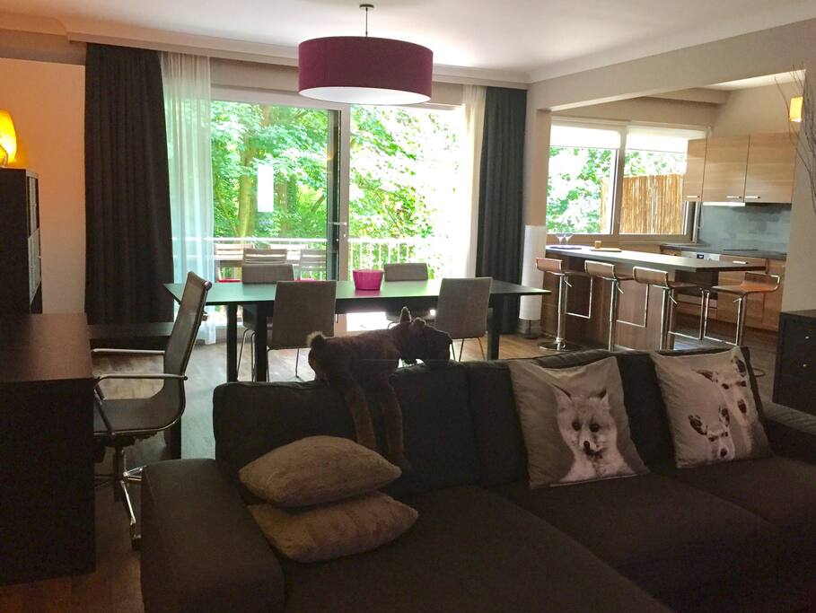 Top 100 Airbnb Rentals 2017 in Brussels, Belgium