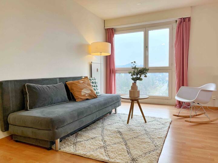 2,5 rooms flat near ZH with view Apartments for Rent in
