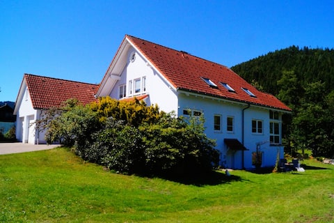 SCHWARZWALD-ERLEBNIS  PUR !!!