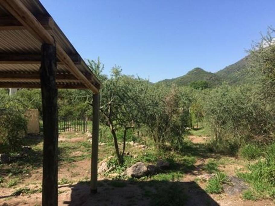 Vista desde la casa