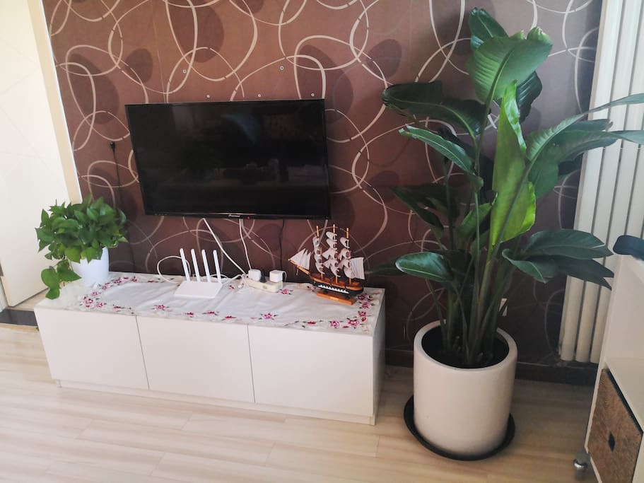 TV and the plant
