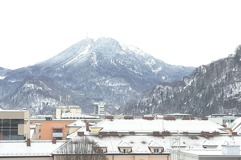 The View from the Apartment