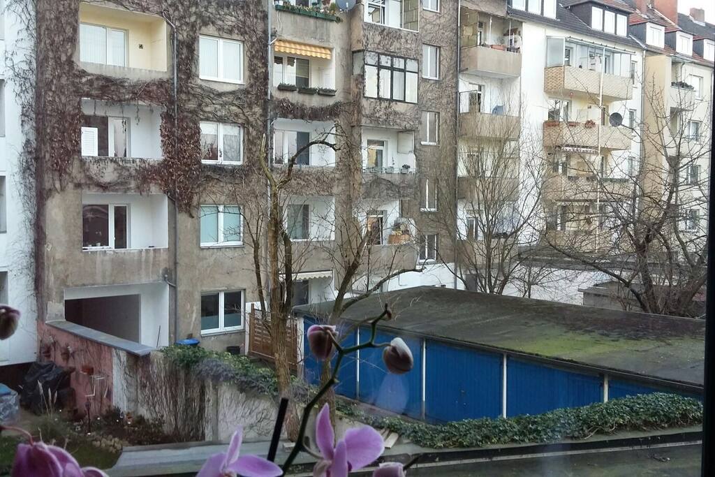 Ausblick Gästezimmer