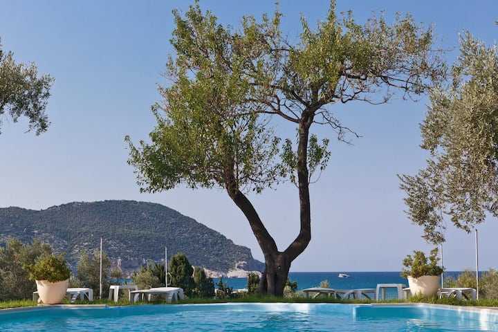 Skopelos Villas | Villas and More | Airbnb