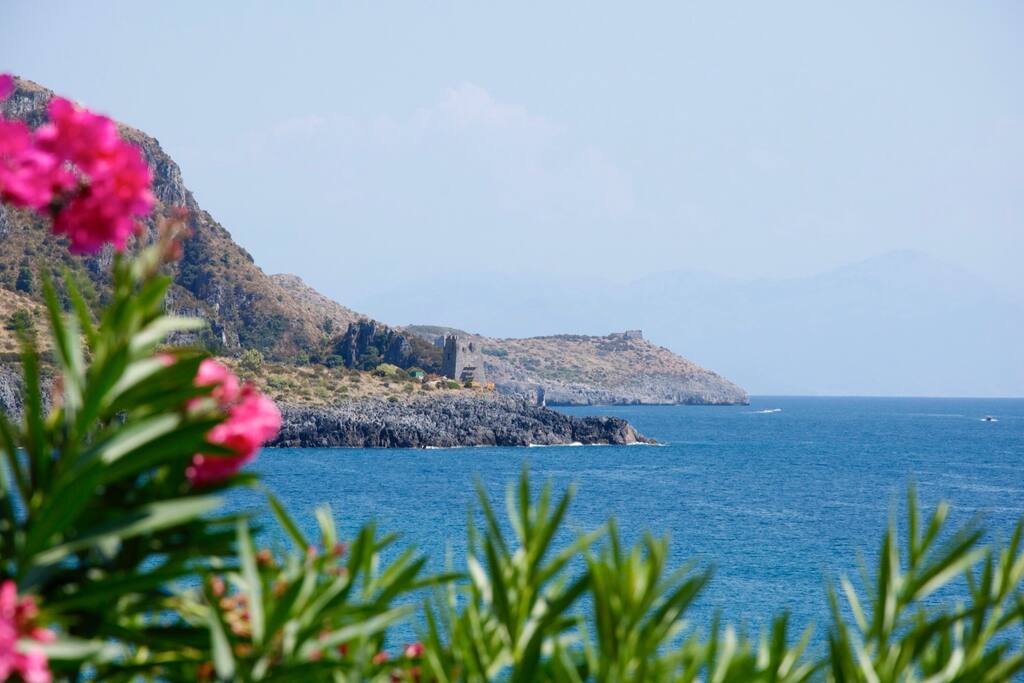 House View