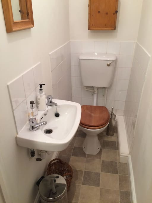Private toilet with sink