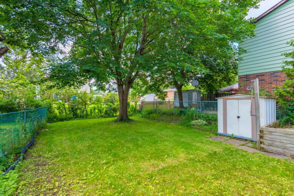 Backyard