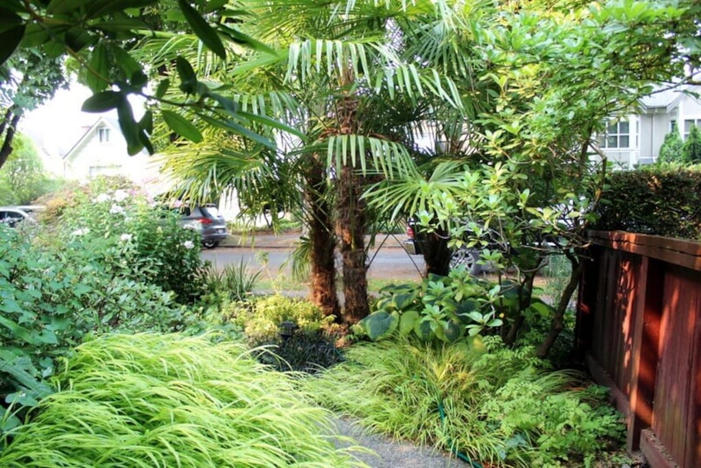 Front Pathway