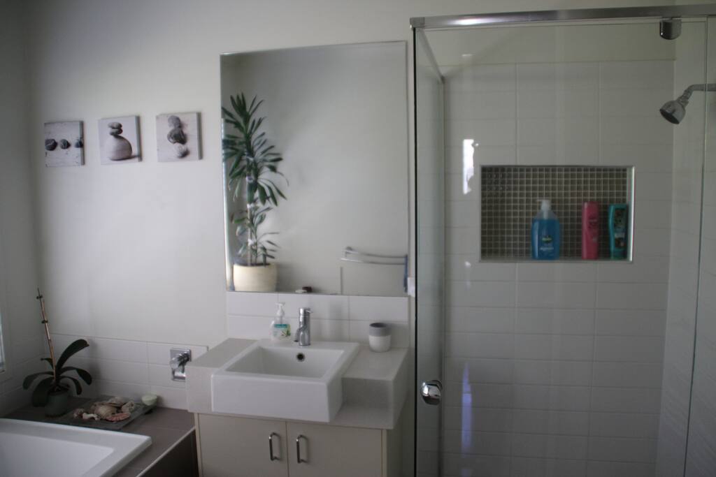 Guest bathroom