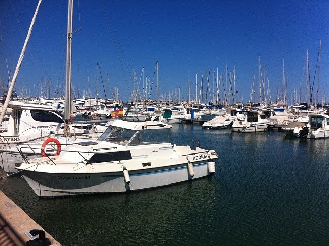 A marina filled with numerous boats is depicted, showcasing a variety of sizes and styles. The calm water reflects the clear blue sky, while sailboats are visible in the background. The scene illustrates a vibrant atmosphere, perfect for visitors seeking maritime experiences.