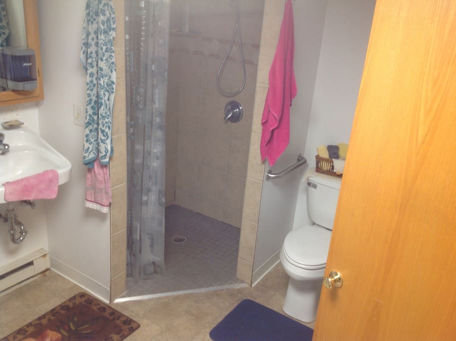 walk-in shower, with handicap bars, laundry in same room
