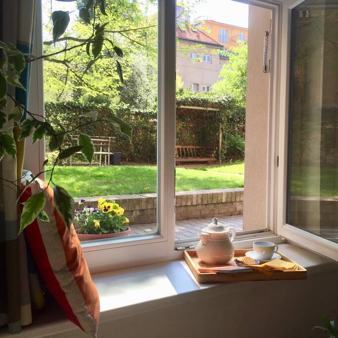 garden view