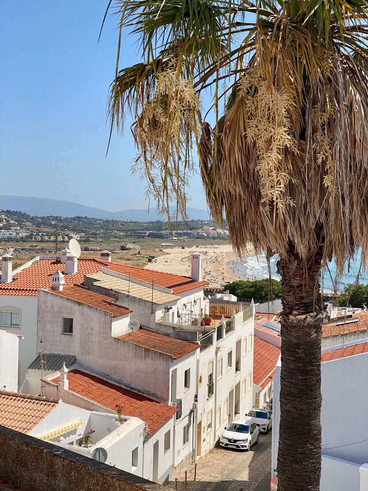 A view from above captures the rooftops of white-washed buildings adorned with terracotta tiles, overlooking a sandy beach populated with visitors. A palm tree stands prominently in the foreground, offering a touch of greenery against the clear blue sky.