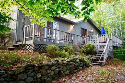Relax on pristine Lake Eden