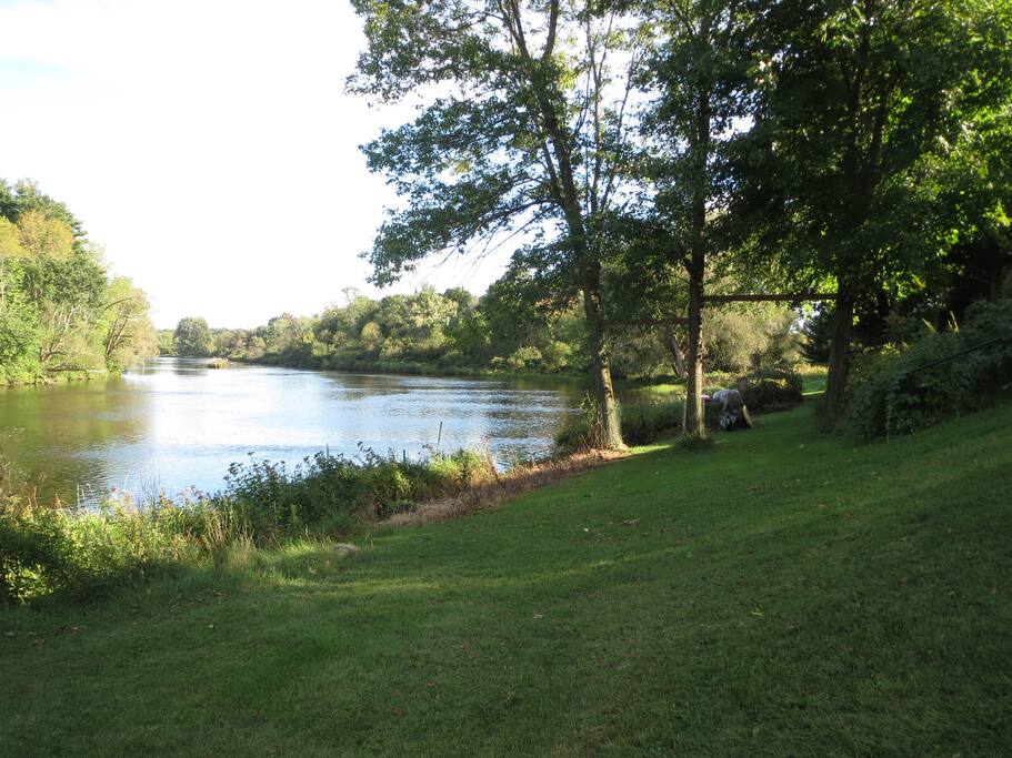 River side view