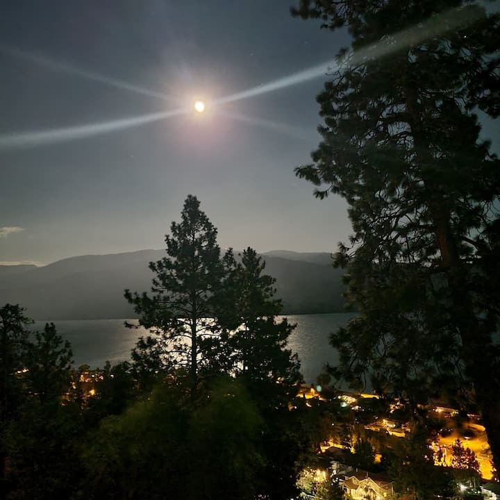 Vintage View, a 1 bed suite with lake views/hottub
